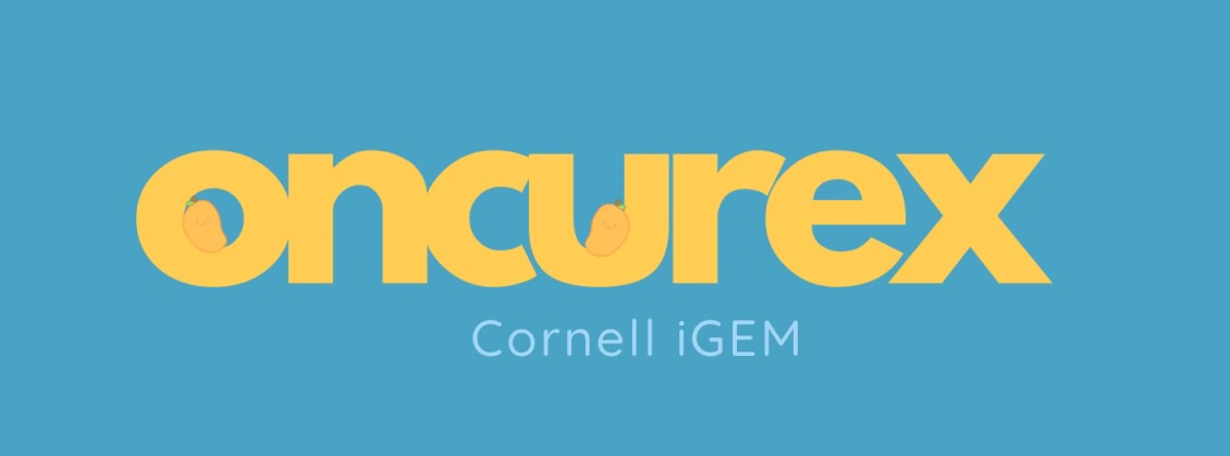 Oncurex project image